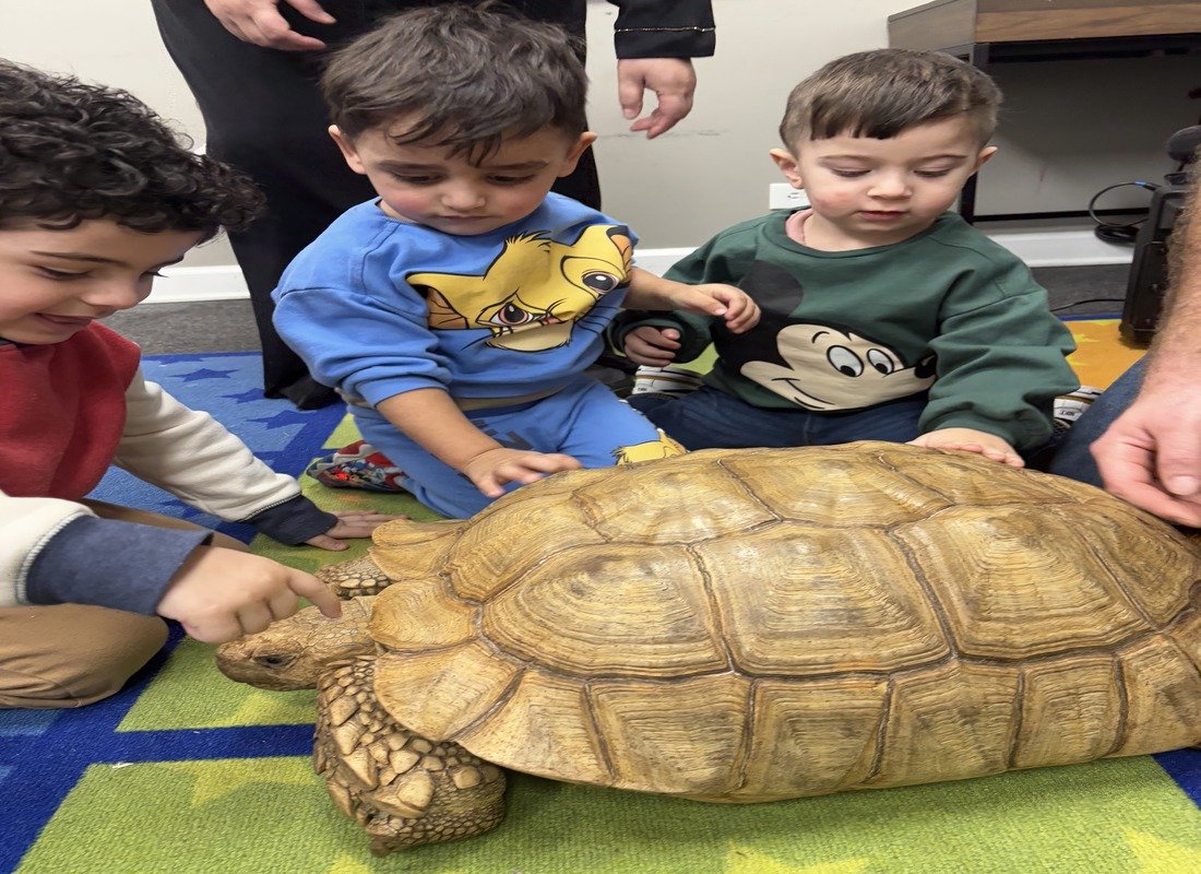 Children exploring and gently touching a large tortoise during animal education activity at Iqra Learning